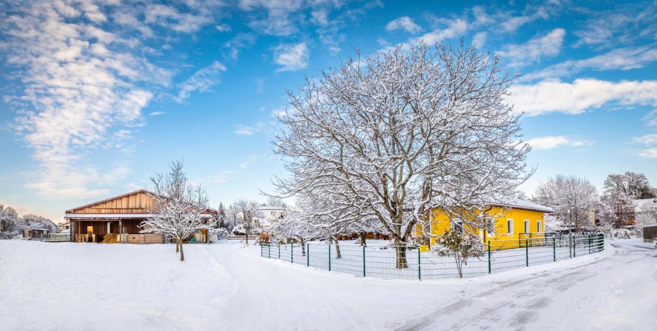 Ferienhaus Schlagerbauer Biohof Solnohrad Exteriér fotografie
